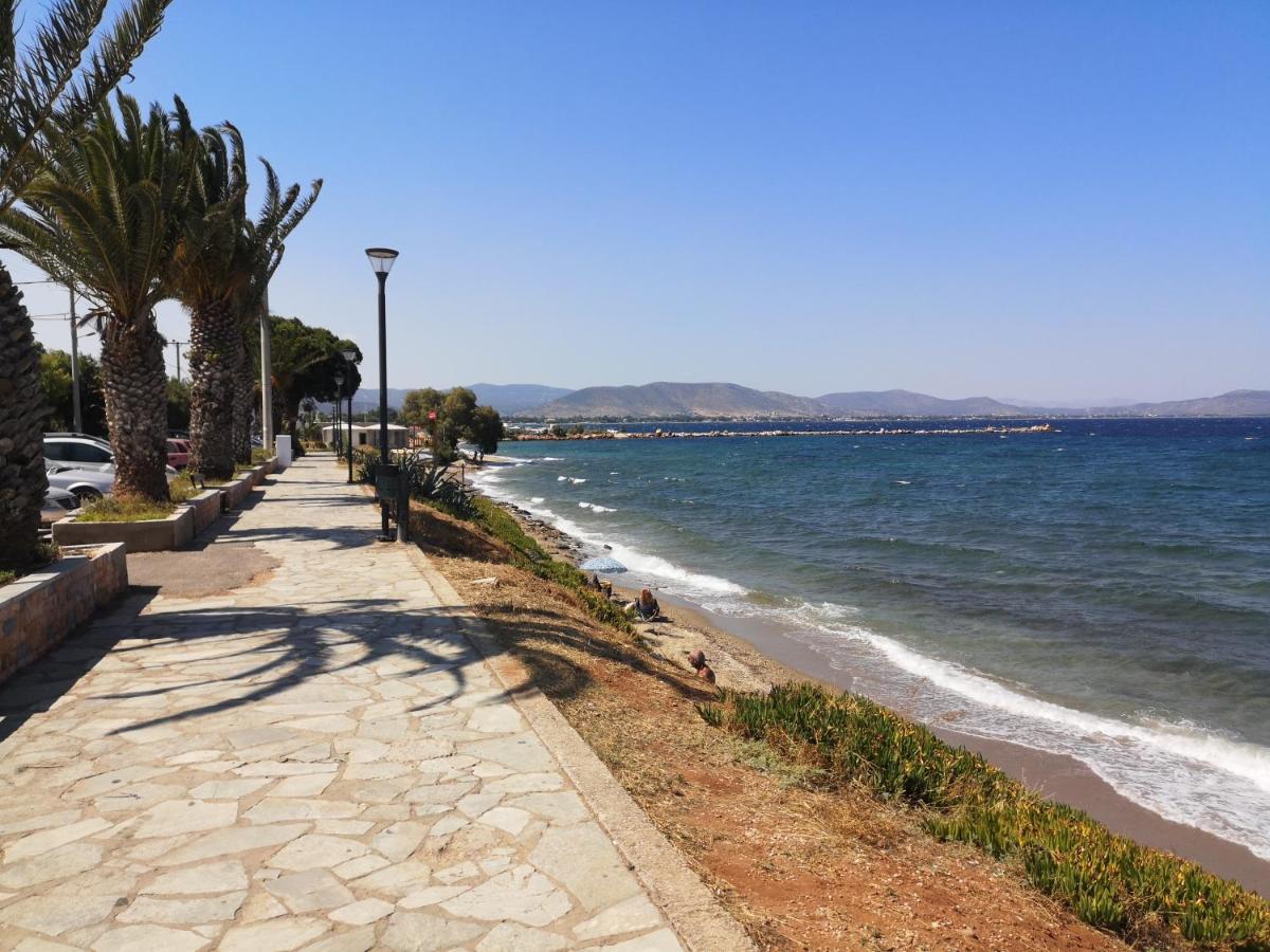 Aegean Sea Home Néa Mákri 外观 照片