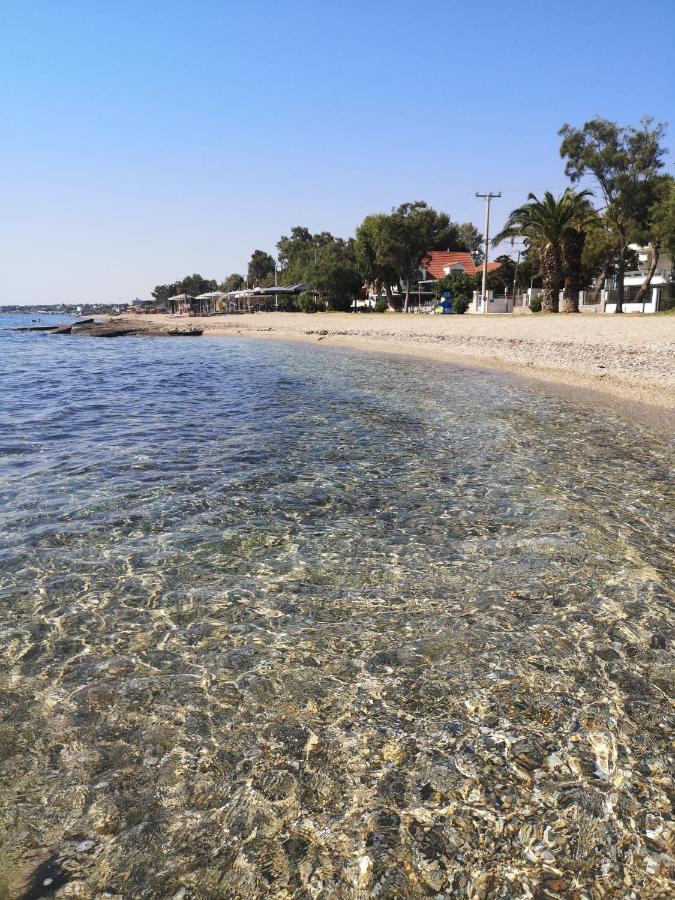 Aegean Sea Home Néa Mákri 外观 照片